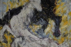 cavalli