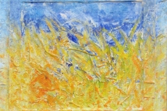 campo_di_grano4