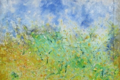 campo_giallo