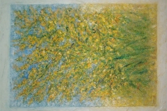 desideri