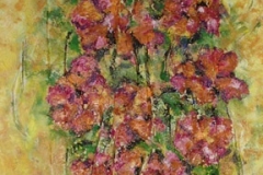 nuove-imm-004