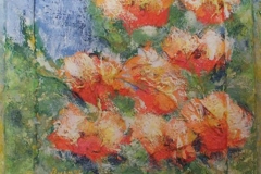 DSCF1119