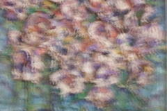 DSCF1129