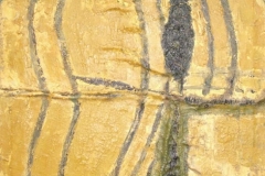 campo-di-linari