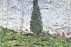 cipressino-1311176231