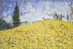 girasoli